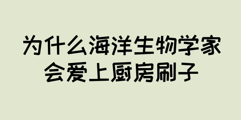 为什么海洋生物学家会爱上厨房刷子