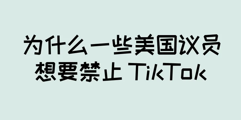 为什么一些美国议员想要禁止 TikTok
