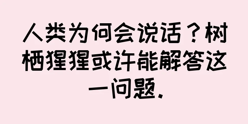 人类为何会说话？树栖猩猩或许能解答这一问题。
