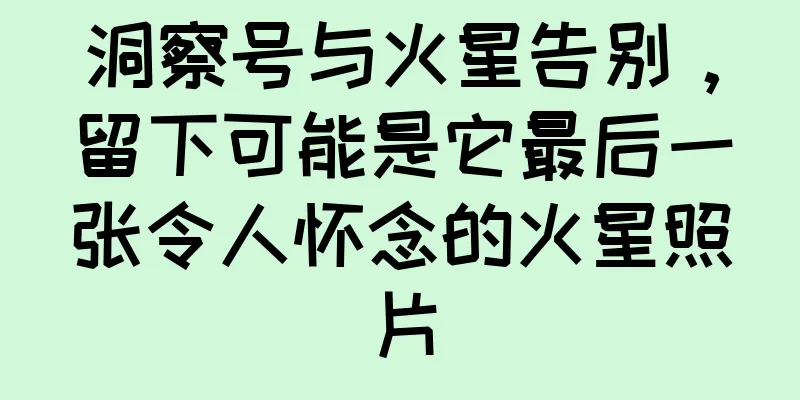 洞察号与火星告别，留下可能是它最后一张令人怀念的火星照片