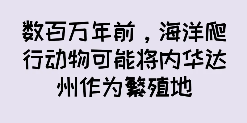 数百万年前，海洋爬行动物可能将内华达州作为繁殖地