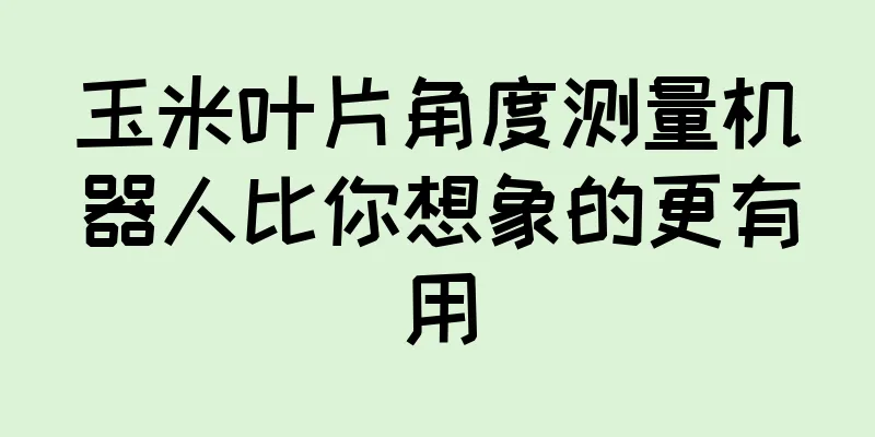 玉米叶片角度测量机器人比你想象的更有用