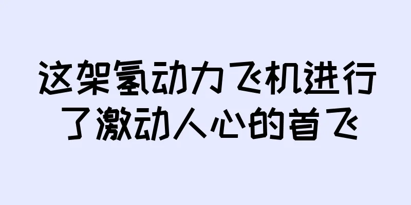 这架氢动力飞机进行了激动人心的首飞