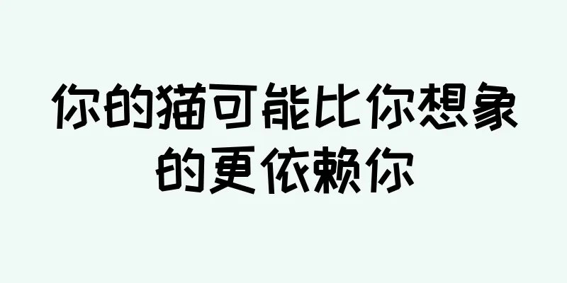 你的猫可能比你想象的更依赖你
