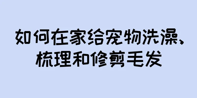 如何在家给宠物洗澡、梳理和修剪毛发