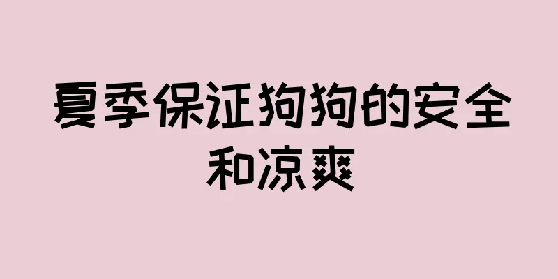 夏季保证狗狗的安全和凉爽