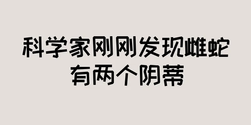 科学家刚刚发现雌蛇有两个阴蒂