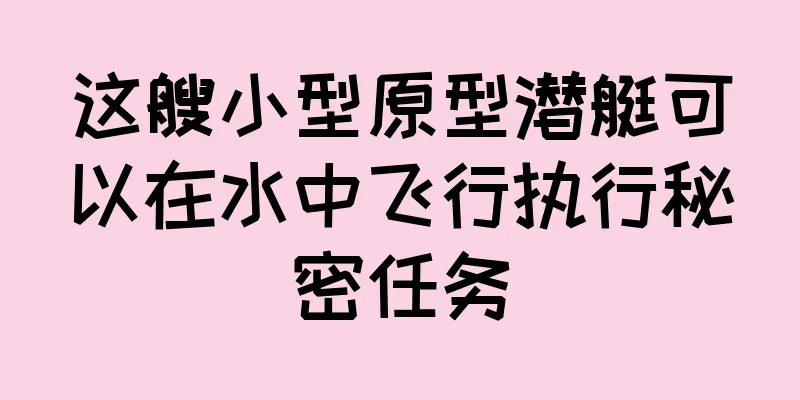 这艘小型原型潜艇可以在水中飞行执行秘密任务