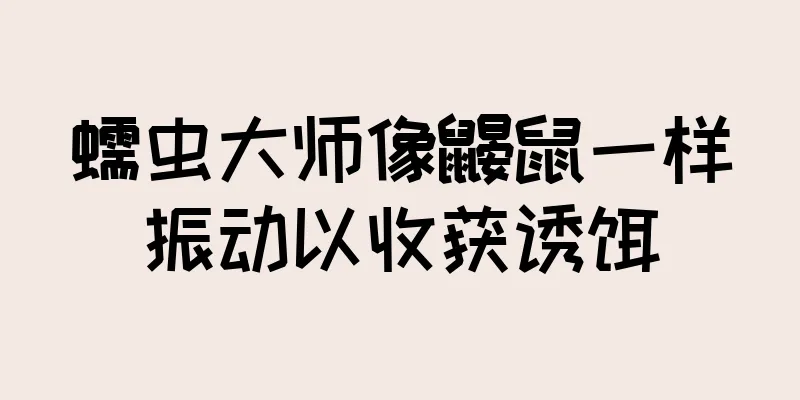 蠕虫大师像鼹鼠一样振动以收获诱饵