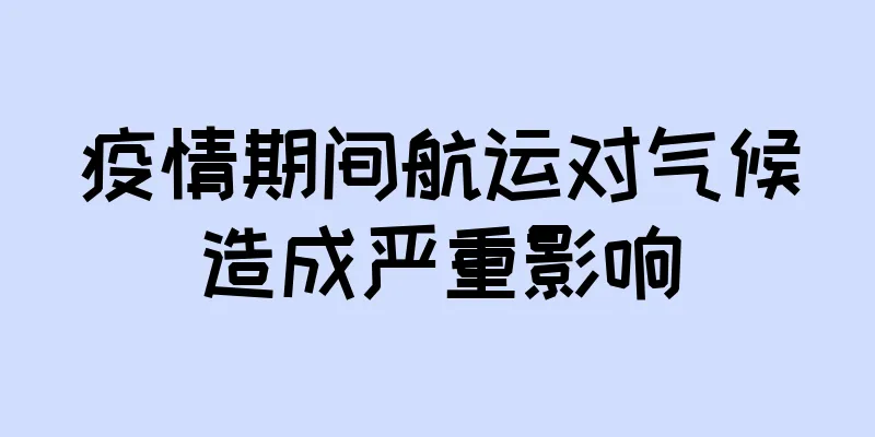 疫情期间航运对气候造成严重影响