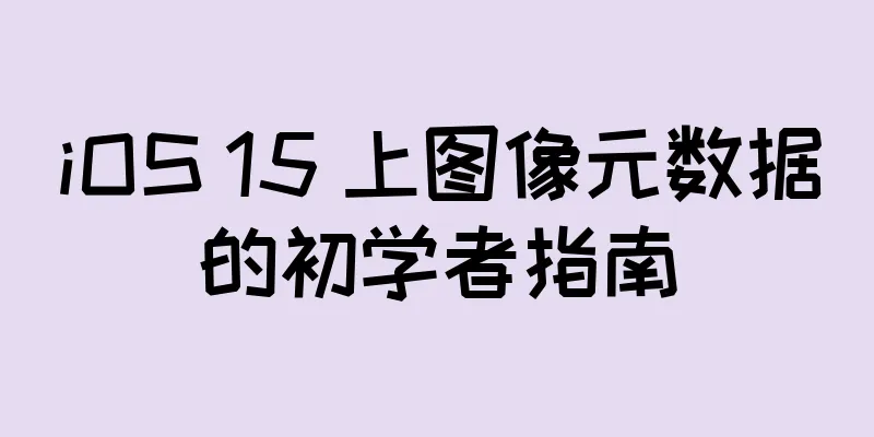 iOS 15 上图像元数据的初学者指南