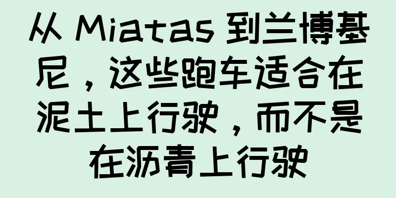 从 Miatas 到兰博基尼，这些跑车适合在泥土上行驶，而不是在沥青上行驶