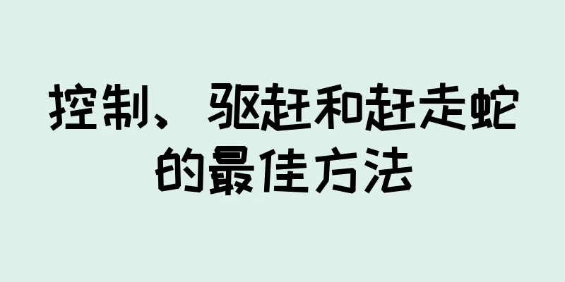 控制、驱赶和赶走蛇的最佳方法