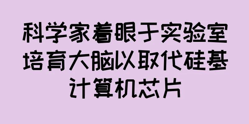 科学家着眼于实验室培育大脑以取代硅基计算机芯片