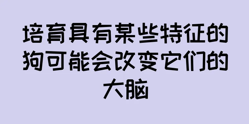 培育具有某些特征的狗可能会改变它们的大脑