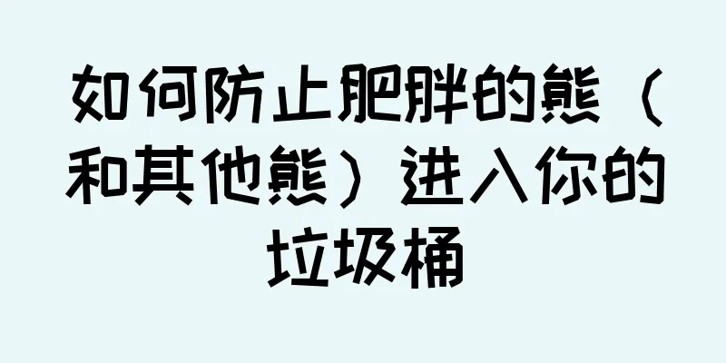 如何防止肥胖的熊（和其他熊）进入你的垃圾桶