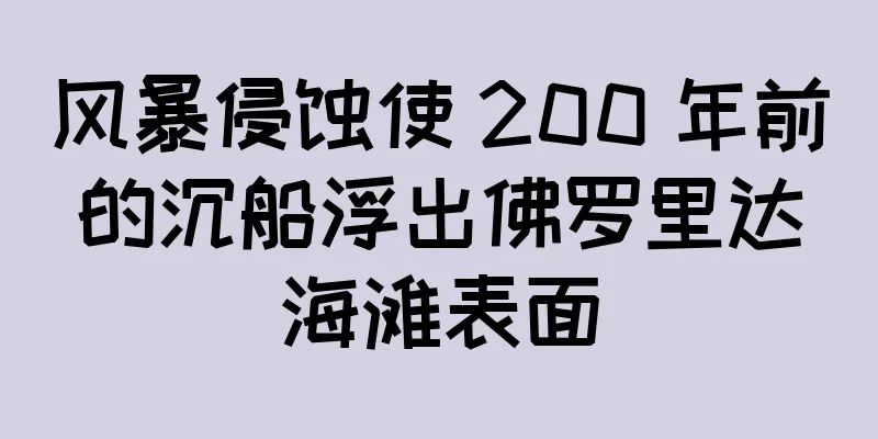 风暴侵蚀使 200 年前的沉船浮出佛罗里达海滩表面