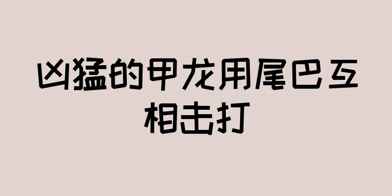 凶猛的甲龙用尾巴互相击打