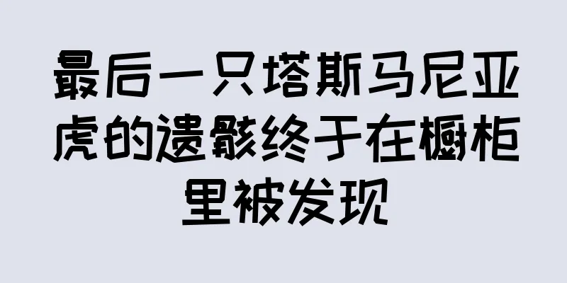 最后一只塔斯马尼亚虎的遗骸终于在橱柜里被发现