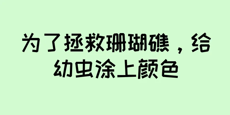 为了拯救珊瑚礁，给幼虫涂上颜色