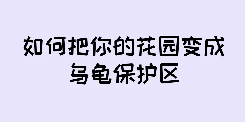 如何把你的花园变成乌龟保护区