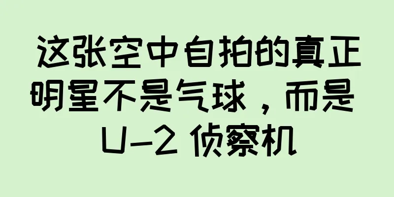 这张空中自拍的真正明星不是气球，而是 U-2 侦察机