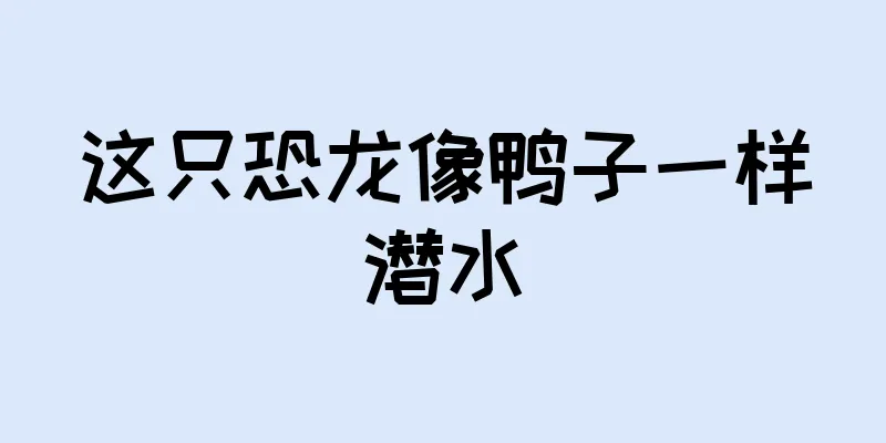 这只恐龙像鸭子一样潜水