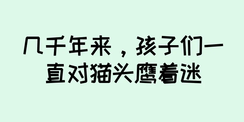 几千年来，孩子们一直对猫头鹰着迷