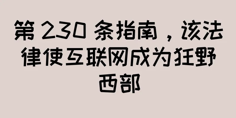 第 230 条指南，该法律使互联网成为狂野西部