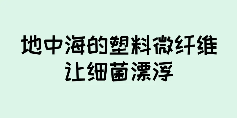 地中海的塑料微纤维让细菌漂浮