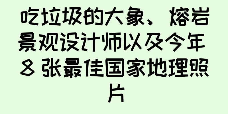 吃垃圾的大象、熔岩景观设计师以及今年 8 张最佳国家地理照片