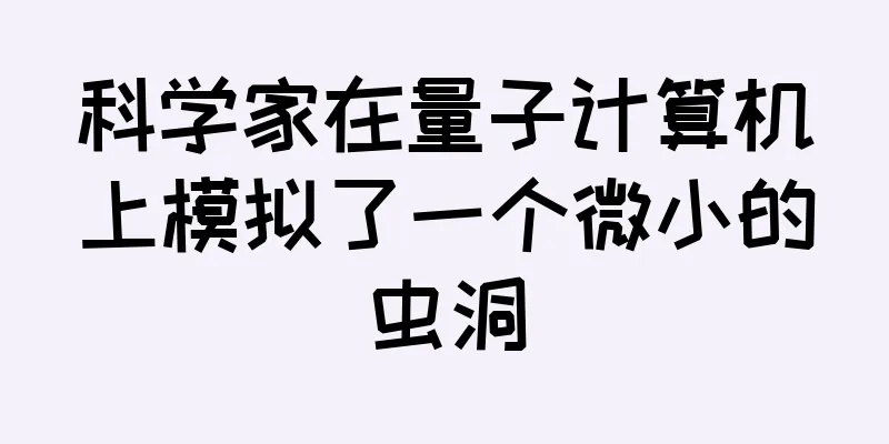 科学家在量子计算机上模拟了一个微小的虫洞