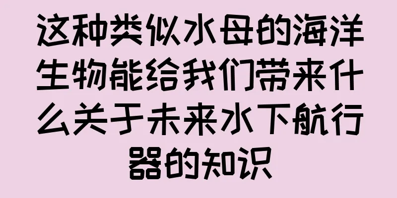 这种类似水母的海洋生物能给我们带来什么关于未来水下航行器的知识