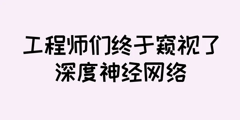工程师们终于窥视了深度神经网络