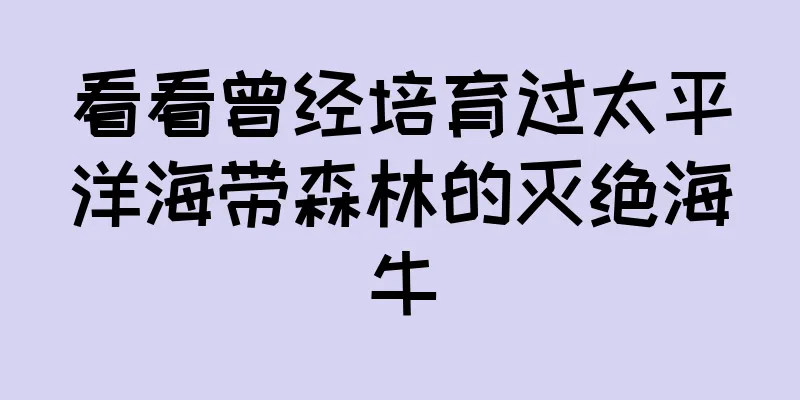 看看曾经培育过太平洋海带森林的灭绝海牛