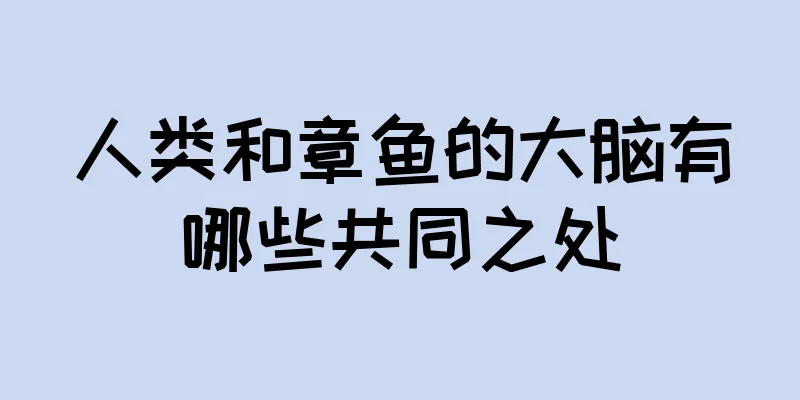 人类和章鱼的大脑有哪些共同之处
