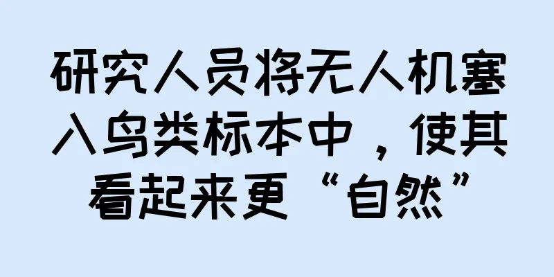 研究人员将无人机塞入鸟类标本中，使其看起来更“自然”