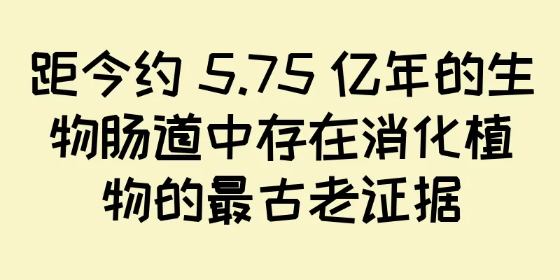 距今约 5.75 亿年的生物肠道中存在消化植物的最古老证据