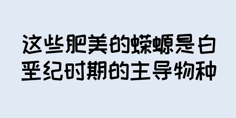 这些肥美的蝾螈是白垩纪时期的主导物种