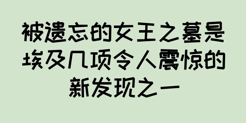 被遗忘的女王之墓是埃及几项令人震惊的新发现之一