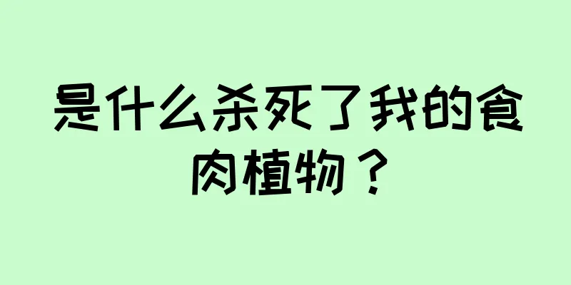 是什么杀死了我的食肉植物？