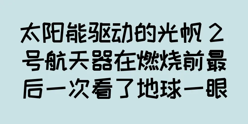 太阳能驱动的光帆 2 号航天器在燃烧前最后一次看了地球一眼