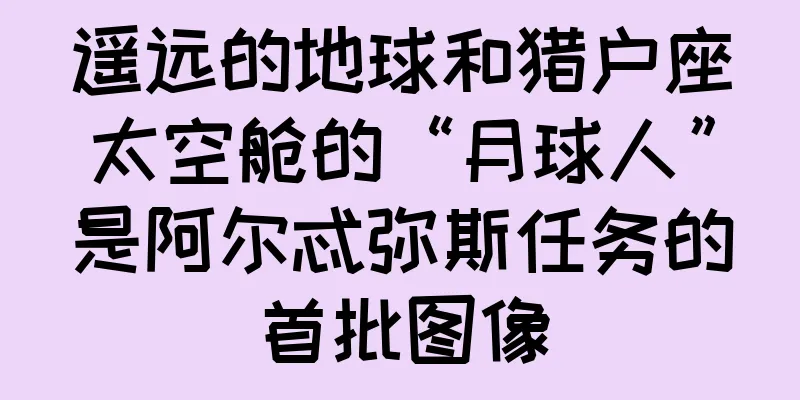 遥远的地球和猎户座太空舱的“月球人”是阿尔忒弥斯任务的首批图像