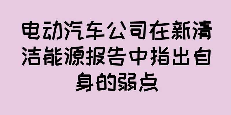 电动汽车公司在新清洁能源报告中指出自身的弱点