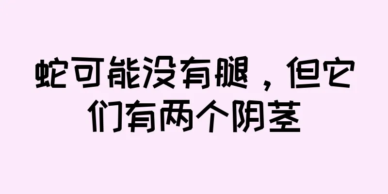 蛇可能没有腿，但它们有两个阴茎