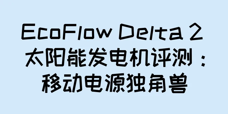 EcoFlow Delta 2 太阳能发电机评测：移动电源独角兽