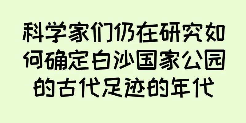 科学家们仍在研究如何确定白沙国家公园的古代足迹的年代