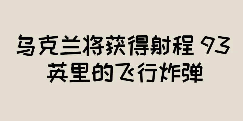 乌克兰将获得射程 93 英里的飞行炸弹
