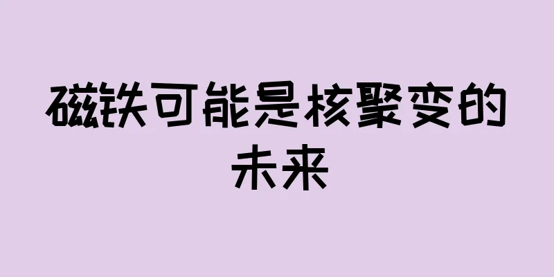 磁铁可能是核聚变的未来