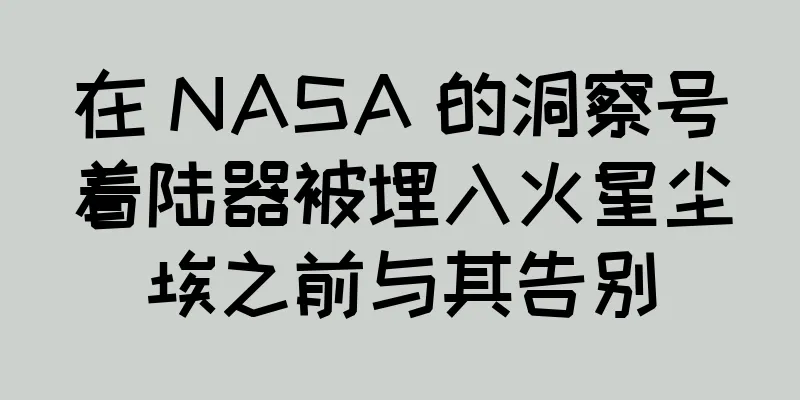 在 NASA 的洞察号着陆器被埋入火星尘埃之前与其告别